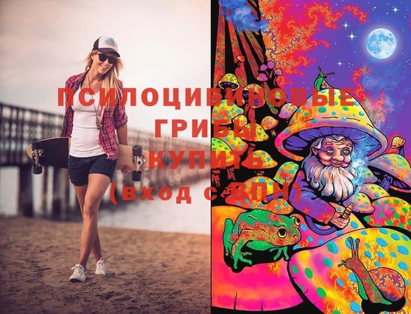 ешки Новодвинск