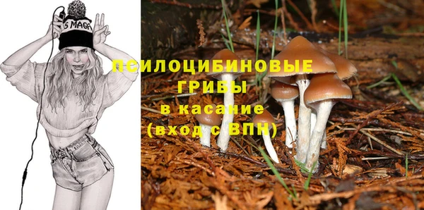 ешки Новодвинск