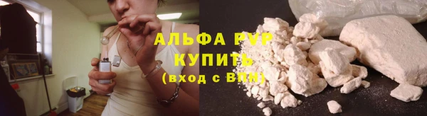 ешки Новодвинск