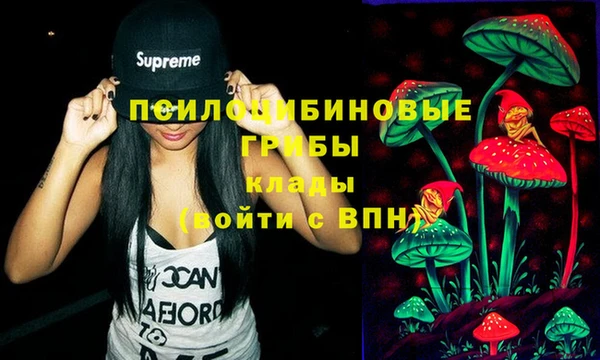 таблы Новозыбков