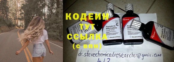 ешки Новодвинск