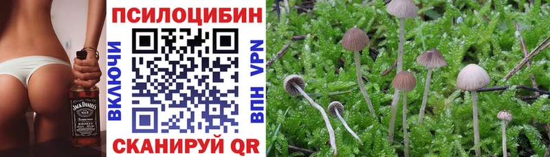 Галлюциногенные грибы мухоморы  Купить  Обь 